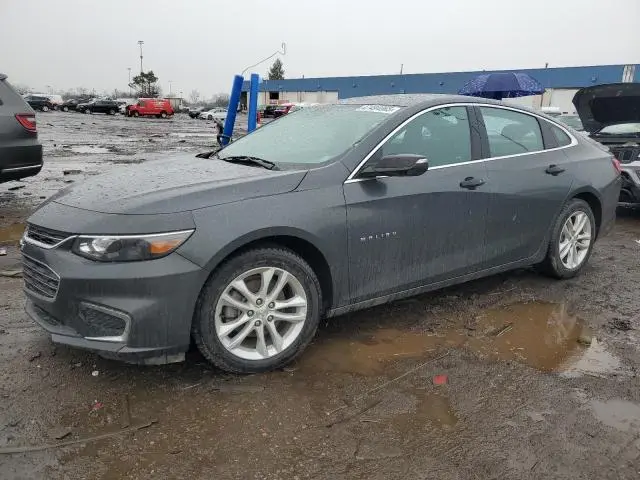 1G1ZD5ST5JF195519