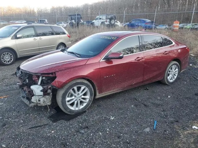1G1ZD5ST5JF195715