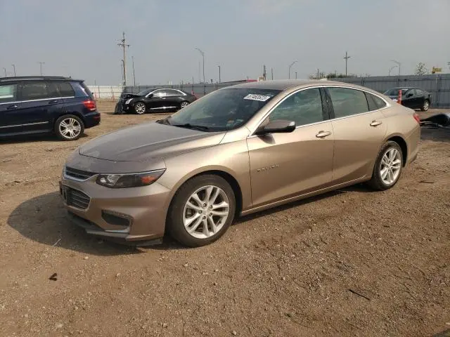 1G1ZD5ST5JF207314