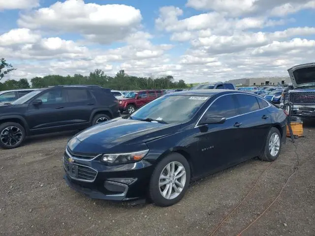1G1ZD5ST5JF223609