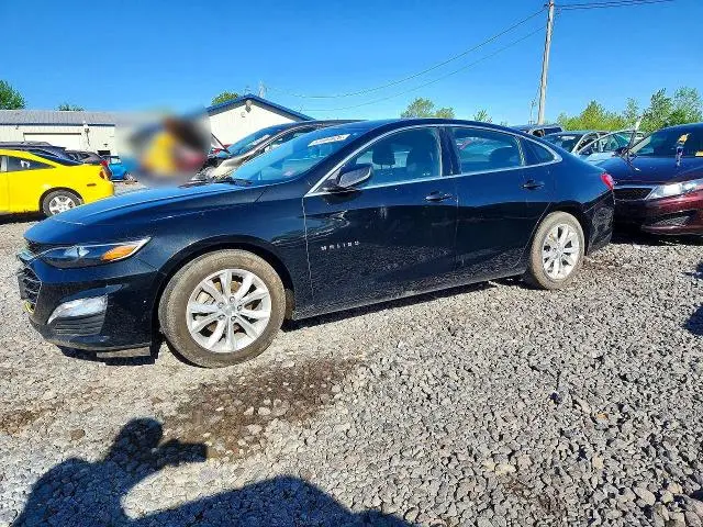 1G1ZD5ST5KF126847