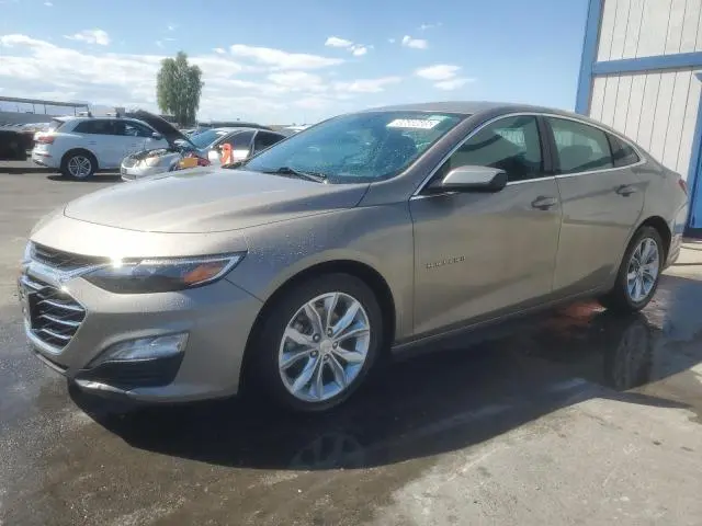 1G1ZD5ST5PF178583