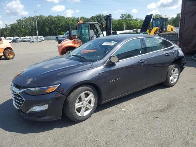 1G1ZD5ST5PF207497