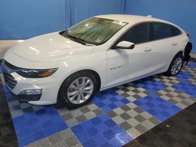 1G1ZD5ST5RF205896