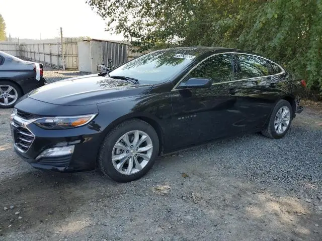 1G1ZD5ST5RF210161