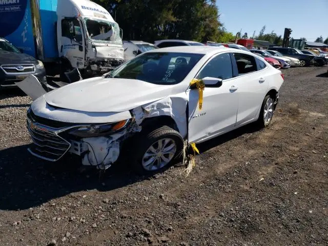 1G1ZD5ST5SF156060