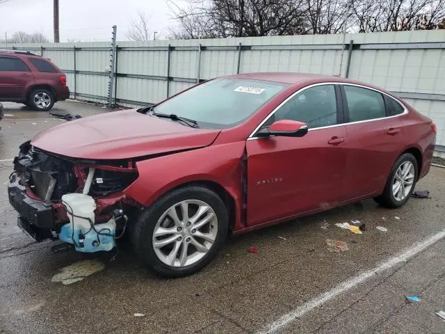 1G1ZD5ST6JF113636