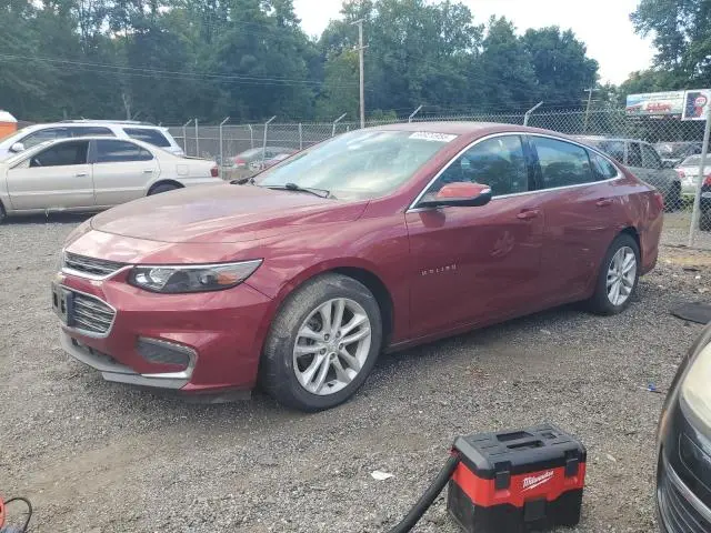 1G1ZD5ST6JF114639