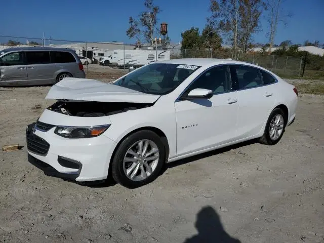 1G1ZD5ST6JF162237