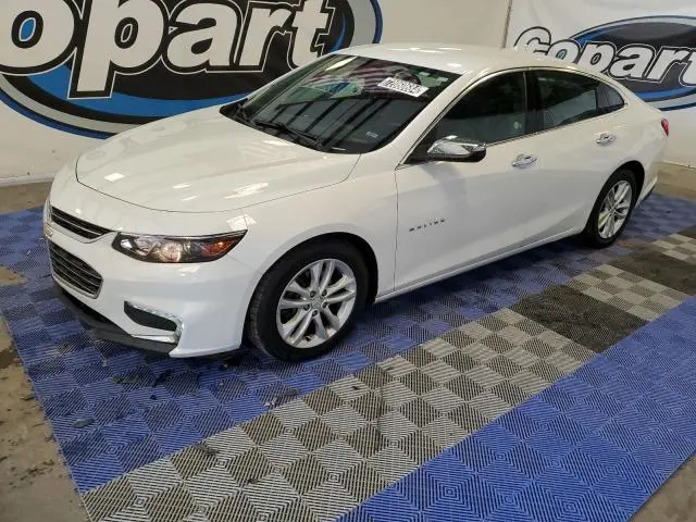 1G1ZD5ST6JF181631