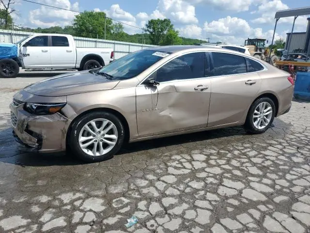 1G1ZD5ST6JF182813
