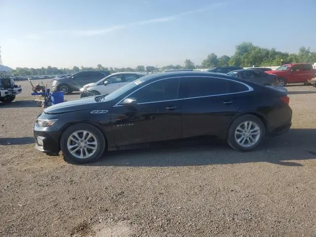 1G1ZD5ST6JF203353