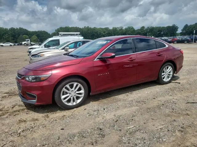 1G1ZD5ST6JF222159