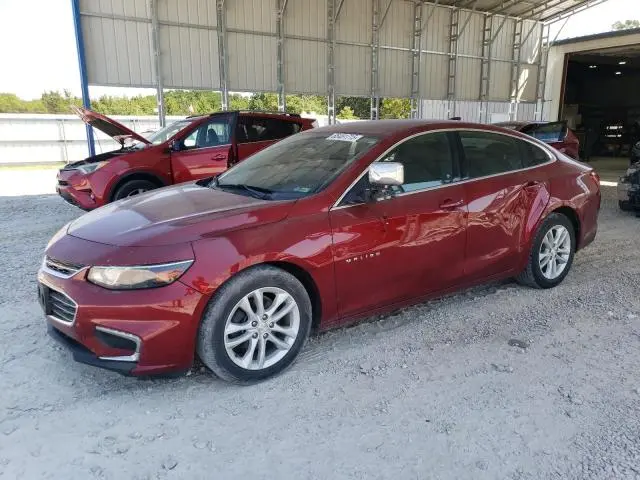 1G1ZD5ST6JF243206