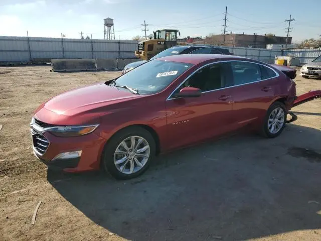 1G1ZD5ST6KF145195