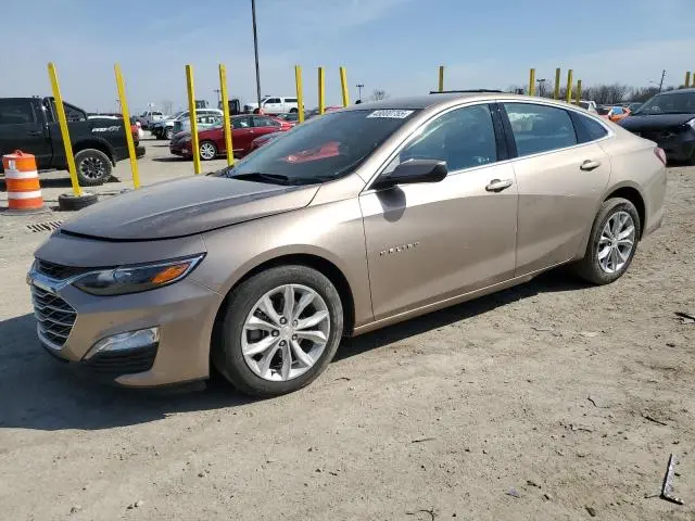 1G1ZD5ST6KF151370