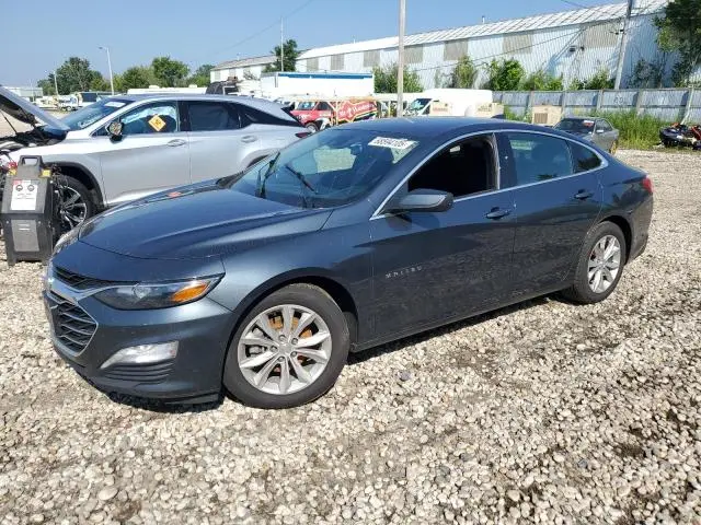 1G1ZD5ST6KF155502