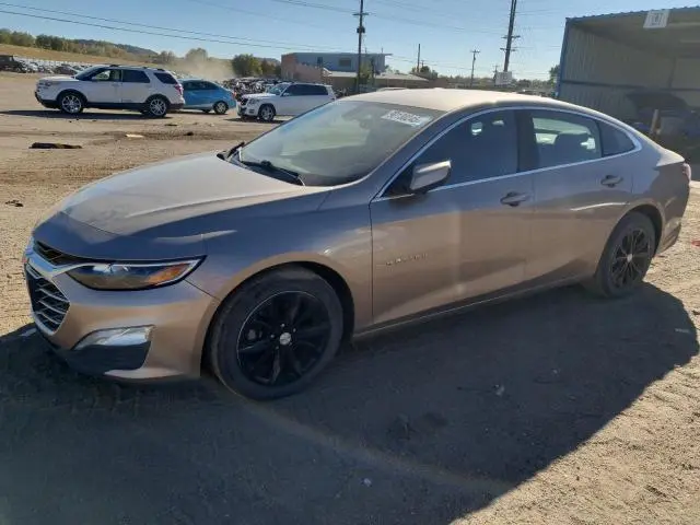 1G1ZD5ST6KF156231