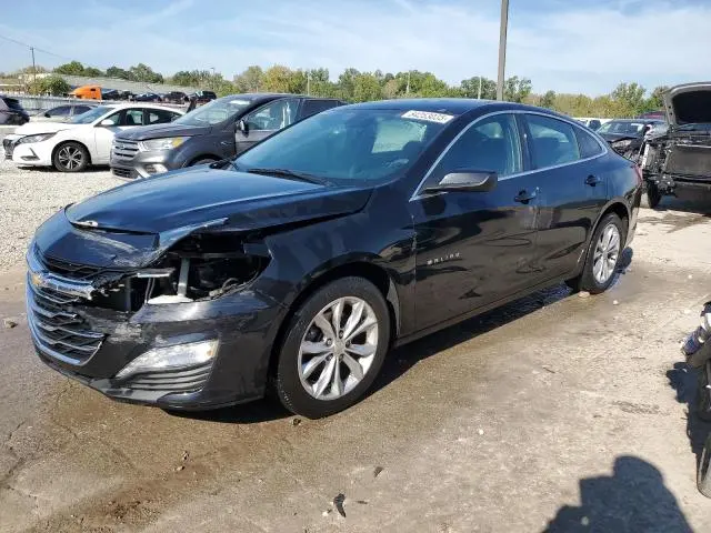 1G1ZD5ST6KF164491