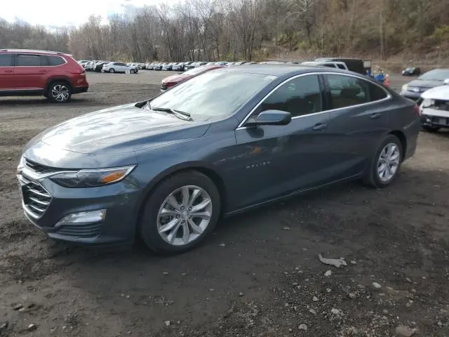 1G1ZD5ST6KF177127