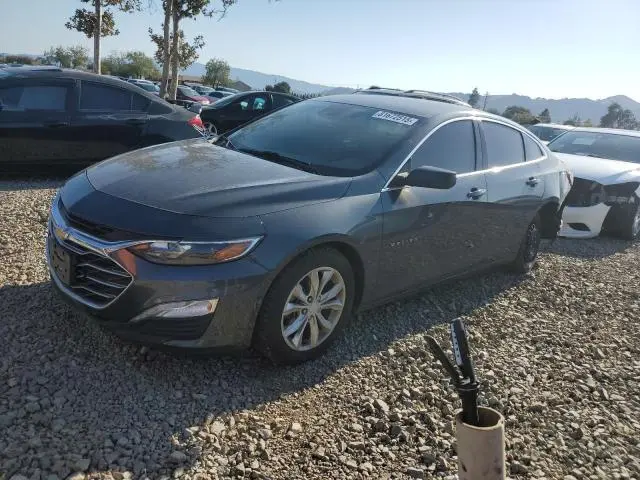 1G1ZD5ST6KF203919