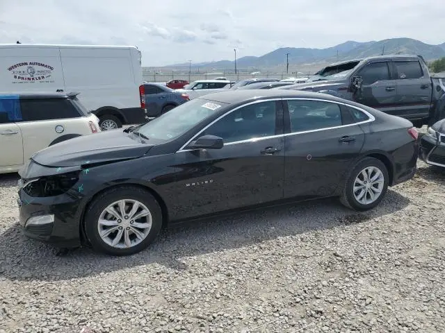 1G1ZD5ST6LF091690