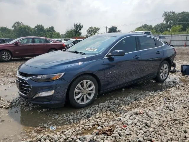 1G1ZD5ST6MF041342