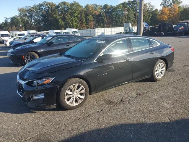 1G1ZD5ST6PF217035