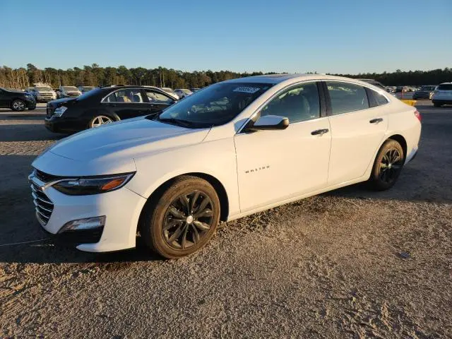 1G1ZD5ST6PF218296
