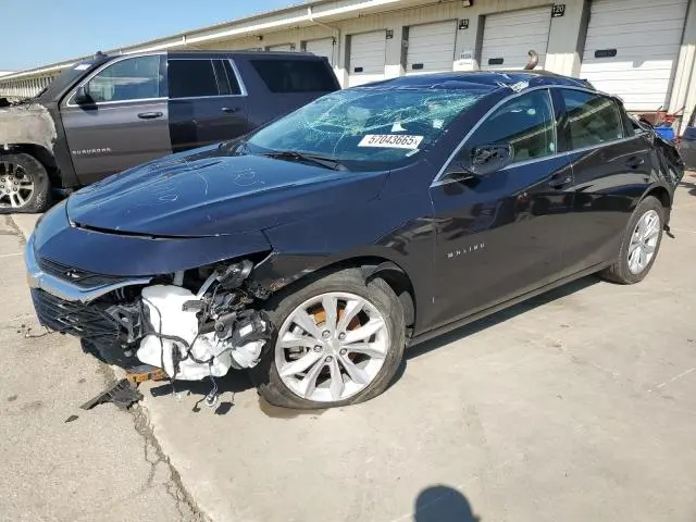 1G1ZD5ST6PF239780