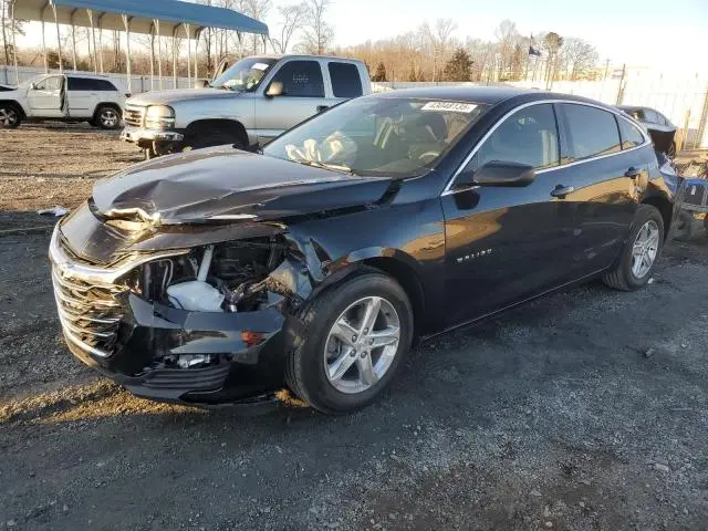 1G1ZD5ST6RF119562