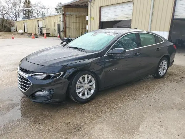 1G1ZD5ST6RF206815