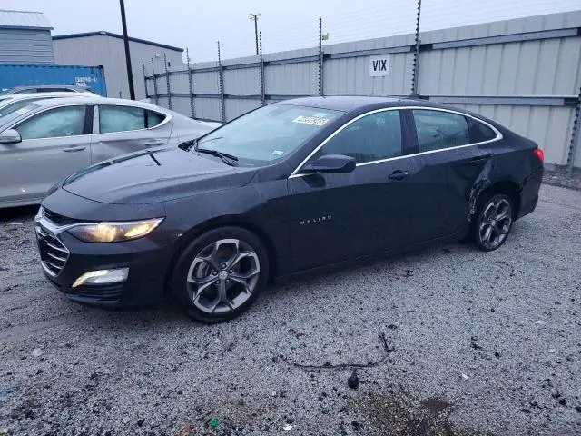 1G1ZD5ST6RF226675