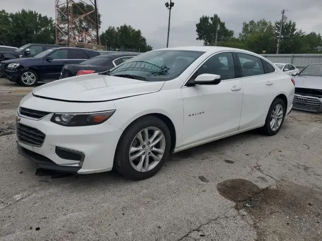 1G1ZD5ST7JF136911