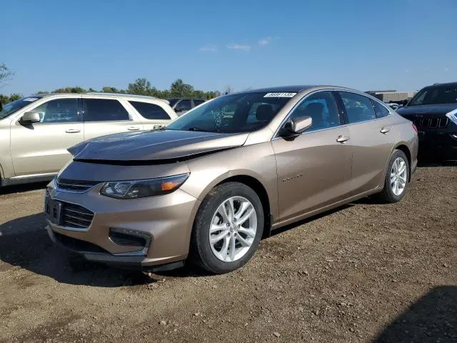 1G1ZD5ST7JF146449