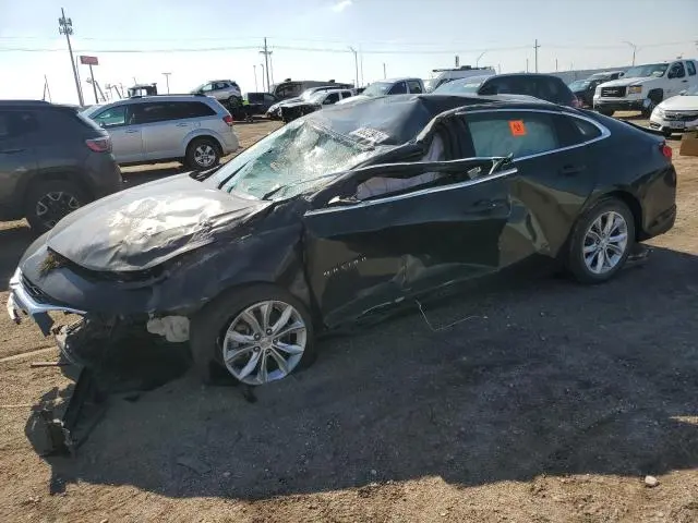 1G1ZD5ST7LF117942
