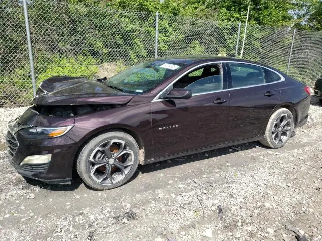 1G1ZD5ST7MF065424