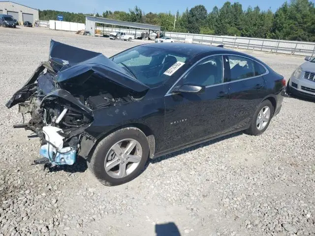 1G1ZD5ST7PF185616