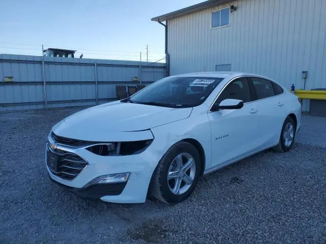 1G1ZD5ST7PF211289