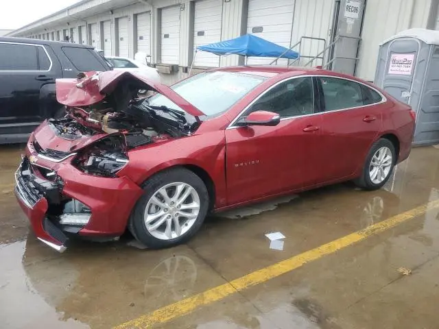 1G1ZD5ST8JF135511