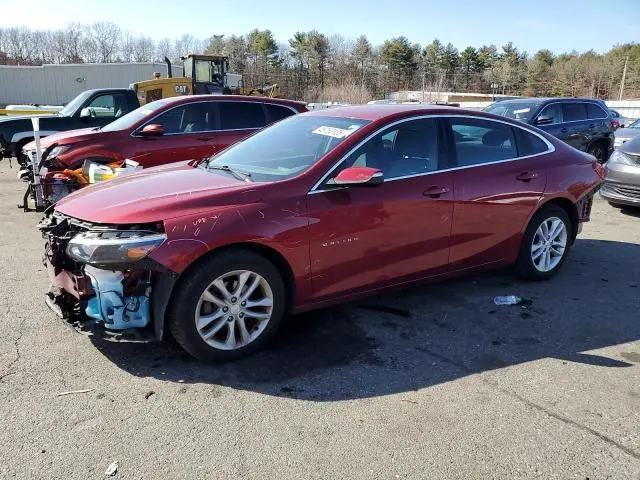 1G1ZD5ST8JF146279