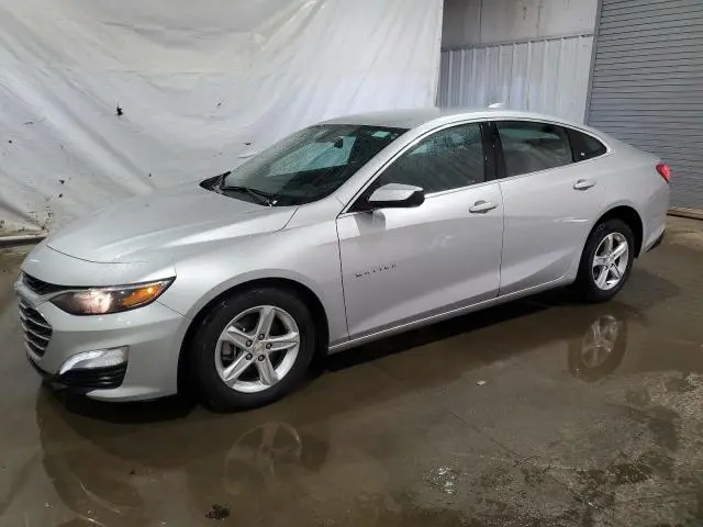 1G1ZD5ST8NF173584