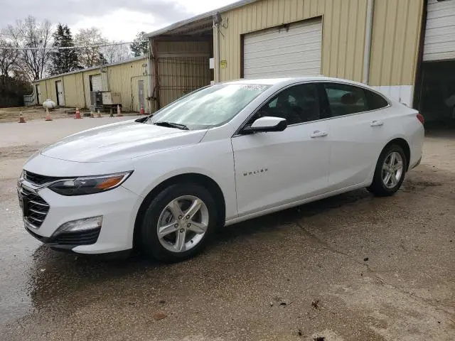 1G1ZD5ST8NF193687