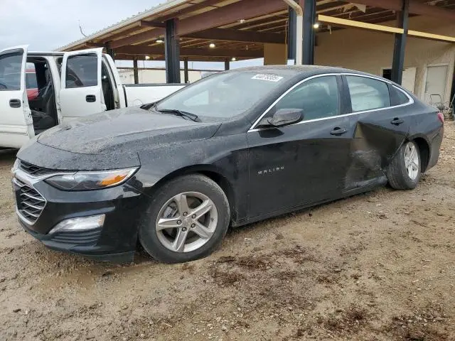 1G1ZD5ST8NF194984
