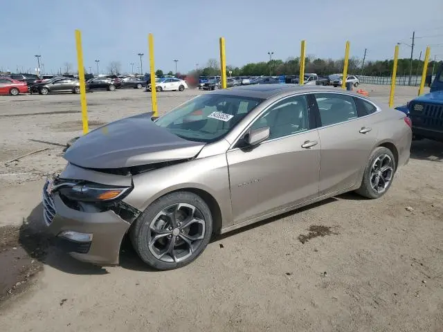 1G1ZD5ST8NF205739