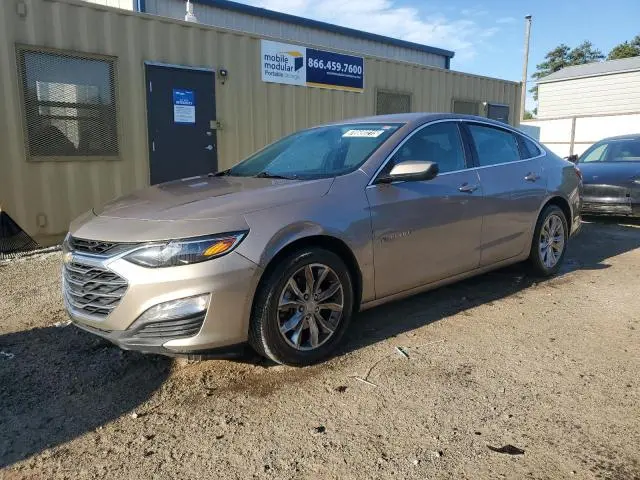 1G1ZD5ST8PF142841