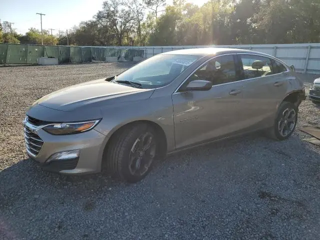 1G1ZD5ST8PF166444