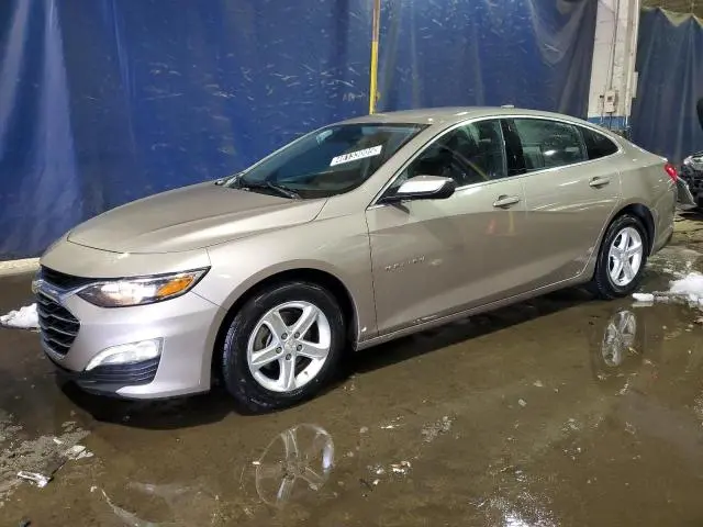 1G1ZD5ST8PF166699