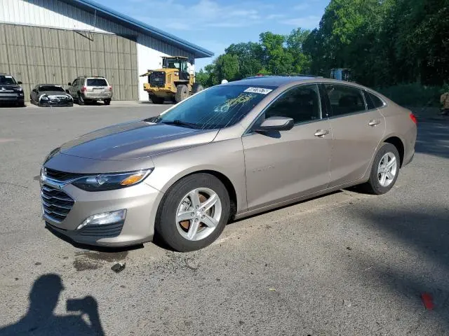 1G1ZD5ST8PF177458