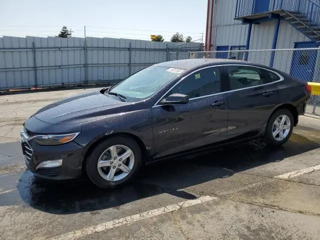 1G1ZD5ST8PF184491